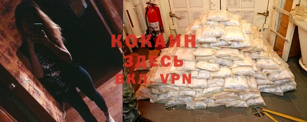 индика Переславль-Залесский