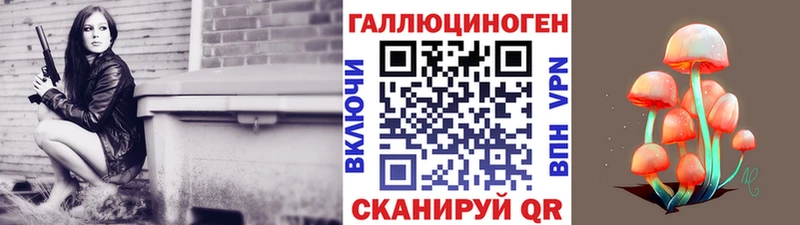 Галлюциногенные грибы Psilocybine cubensis  Купить закладки  Сорочинск 
